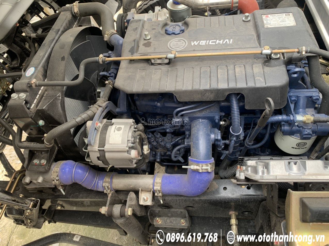 Faw tiger 2022 ảnh 5